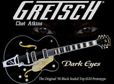 Gretsch guitar(그레치)